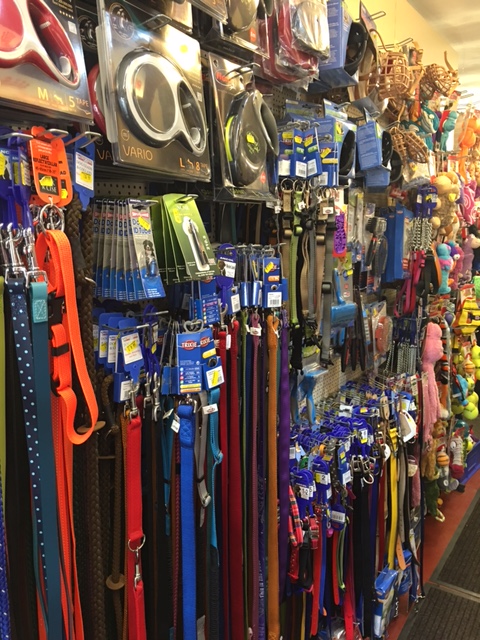 collars leads and toys